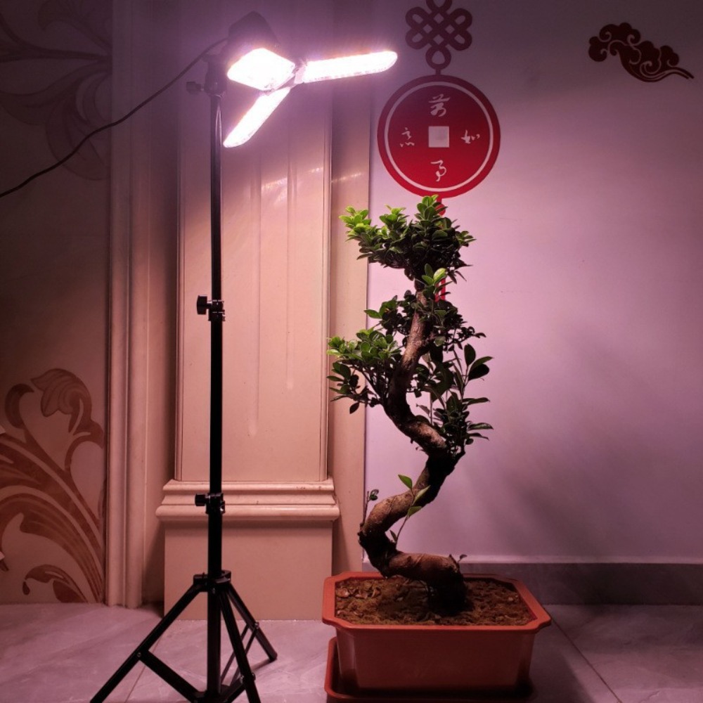 Glühbirnenständer 2M, E27 AC-S – Photography Lighting For Studio Bewertung und Preis