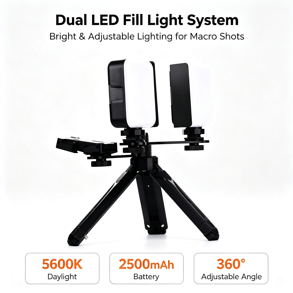 Lodden Bluetooth Zahn füllung  – Photography Lighting Led Bewertung und Preis